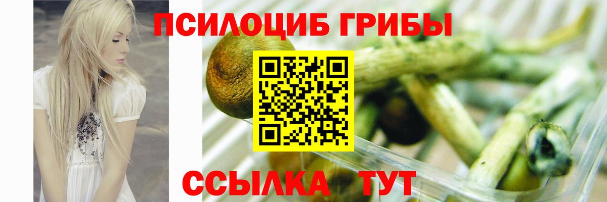 Петропавловск-Камчатский  Псилоцибиновые грибы прущие грибы  Вход с VPN 